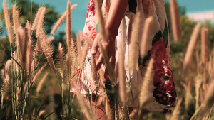 在高草丛中一位身着花椰裙女性16秒视频
