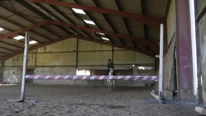 骑马的年轻骑马女孩跳过障碍物15秒视频