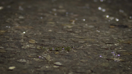 沥青路上的大雨近身背景无缝环视频