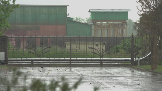 雨在郊区的雨水中视频