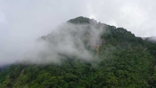 雨林和云层覆盖山峰热带气候下的雨云也覆盖了山峰视频