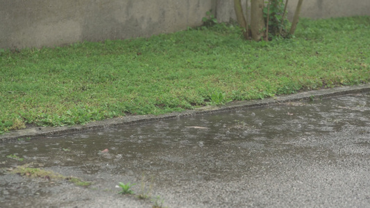 沥青5号上的雨视频