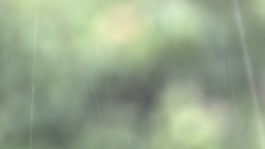 绿背景模糊的雨雨下16秒视频