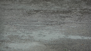 雨12秒视频