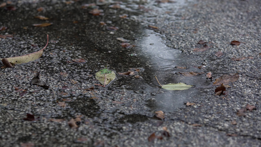 沥青上的雨滴视频