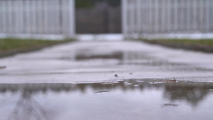 雨滴落到小路上的水坑里26秒视频