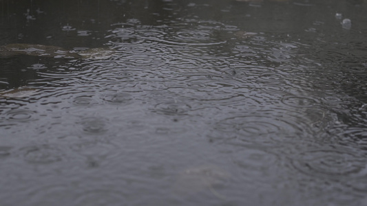 雨水滴落到池塘封闭中视频