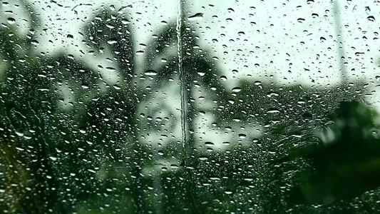 雨滴在车的镜子和公园的模糊树上视频