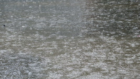 在洪水淹水的街道水坑背景小便上滴下的雨滴视频