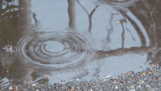 雨水在沥青路小水坑上产生波纹视频