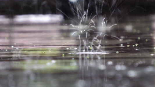 大雨滴湿雨天自然背景包括音频在内的雨滴从大理石表面视频