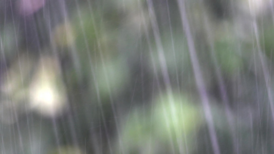 雨水迅速降下背景模糊视频