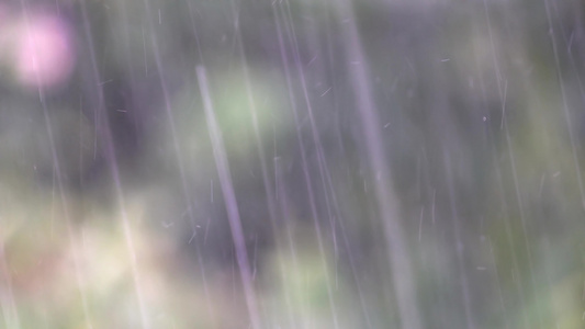 暴风雨下春雨视频