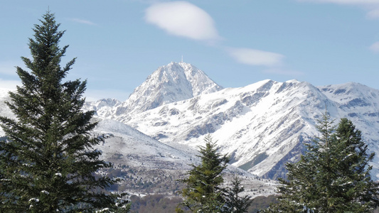 在法国比利牛斯山脉的fir树上背景中具有picdu视频