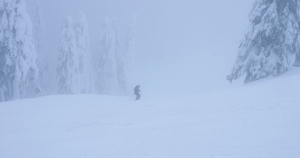 一个人在雾天滑下山12秒视频