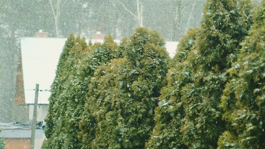 在城市中下雪视频