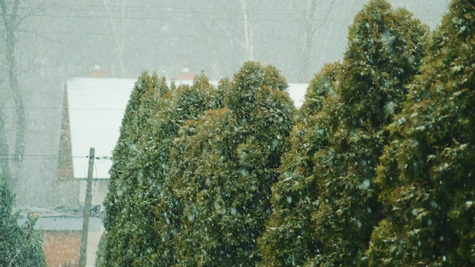 在城市中下雪视频