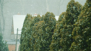 在城市中下雪30秒视频