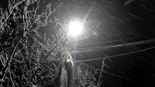 夜里自然降雪背景街道带灯光背斜线视频