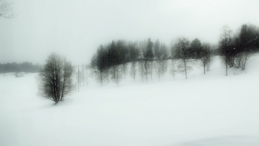 雪雪风暴视频