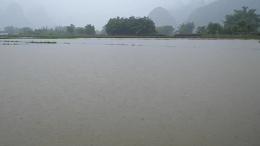 浑浊上涨的河水浑浊 汛期水位上涨 水灾视频