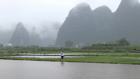 雨中农民走在田埂上视频