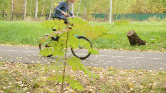 十几岁的男孩骑自行车骑自行车在绿色夏天公园的路径上视频