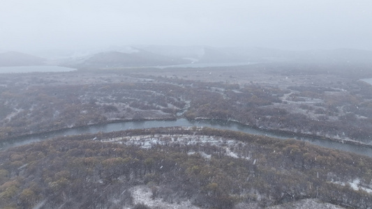 湿地初雪雪花纷飞雪花飘落视频