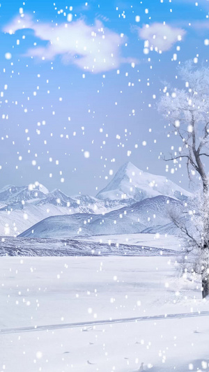 空旷雪地雪景背景视频20秒视频