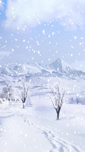 空旷雪地雪景背景视频20秒视频