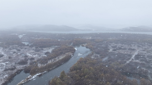 湿地初雪雪花纷飞雪花飘落视频