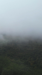 航拍湖南湘西5A级景区德夯大峡谷云雾天气自然风光素材交通素材视频