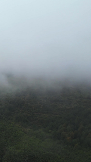 航拍湖南湘西5A级景区德夯大峡谷云雾天气自然风光素材交通素材56秒视频