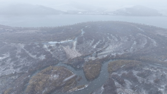 湿地初雪雪花纷飞雪花飘落视频