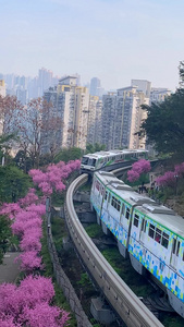 开往春天的列车竖屏视频视频