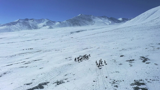 可可西里冰山雪地航拍视频