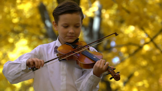 在秋天公园玩小提琴的年轻人慢动作120英尺视频