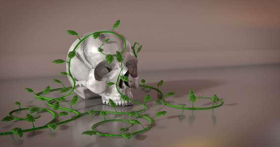 白头骨被红桃花3D动画和阿尔法面罩过大视频