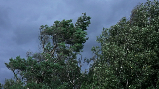 暴风雨的天气视频