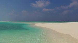 以蓝海为伴棕榈附近有明亮沙子背景的蓝色海滨生活方式13秒视频