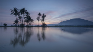 椰子岛上空的日落云彩16秒视频