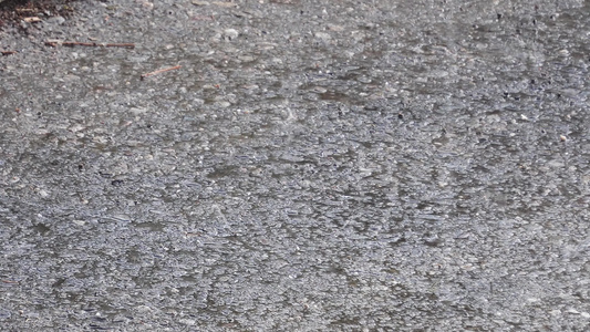 自然背景沥青路上的大雨和冰雹视频