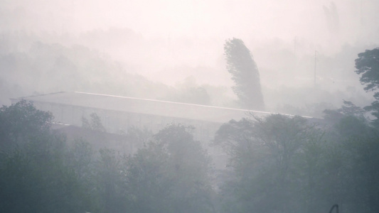 暴风吹过树木打碎树大雨大风暴视频