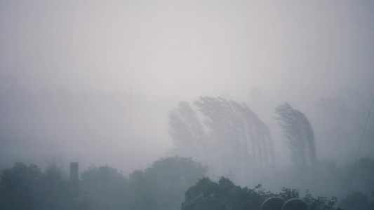 大雨下大雨远处风速快摇摆不定树木被打碎视频