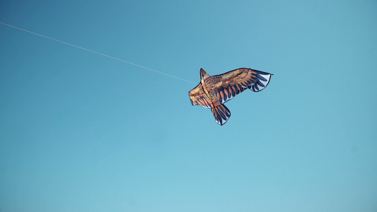 一只多彩的风鹰与太阳光在深蓝天空中挥舞而飞行的视野视频