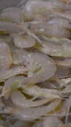 实拍油锅炸虾米实拍素材油炸食品30秒视频