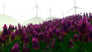 在风中摇摆着的花朵和新能源风电场20秒视频