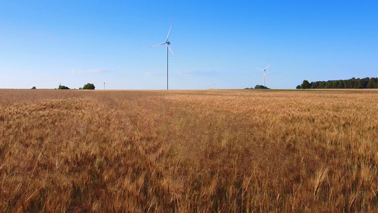 背景中的小麦田和风能涡轮机视频