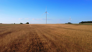 小麦田附近的风能涡轮机24秒视频