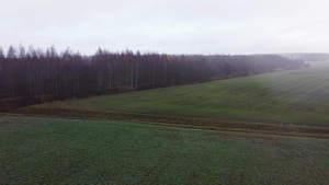 秋天清晨无人驾驶的无人机飞越农村绿地上空16秒视频